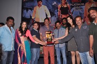 Chandi Platinum Disc Function